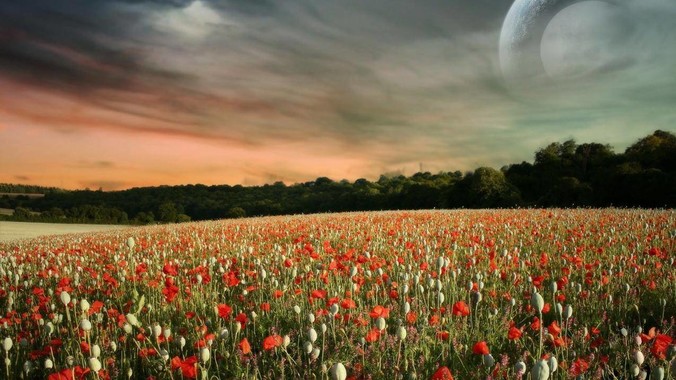 男朋友说我穿衣服太开放，难道好身材不应该显示出来吗？